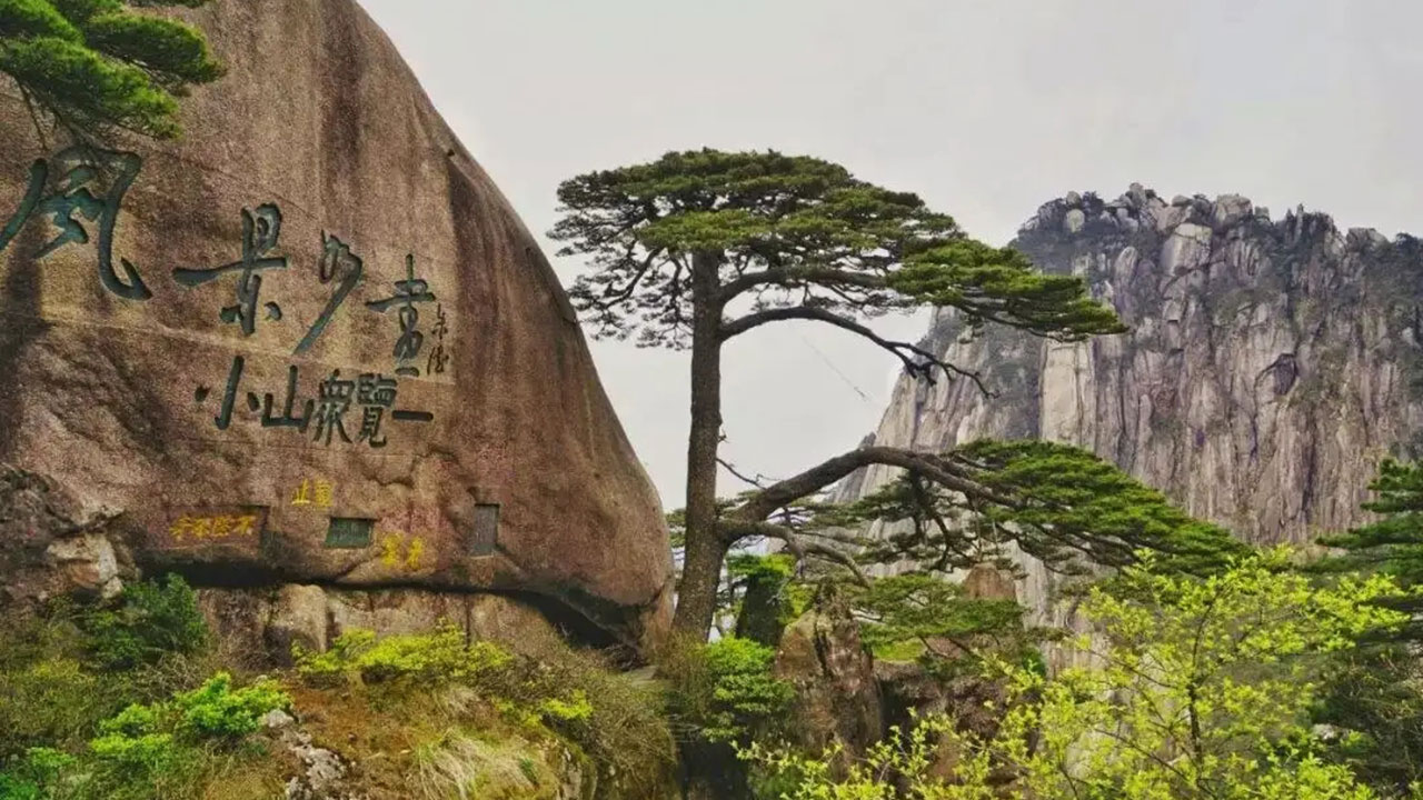 黃山景區(qū) 黃山景區(qū).jpg