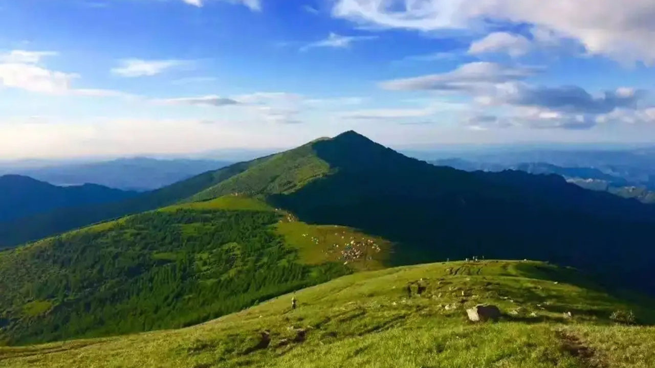 大海陀國(guó)家自然保護(hù)區(qū) 大海陀國(guó)家自然保護(hù)區(qū).jpg