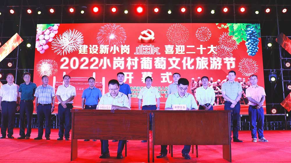 小崗村文旅節(jié)開幕式.jpg