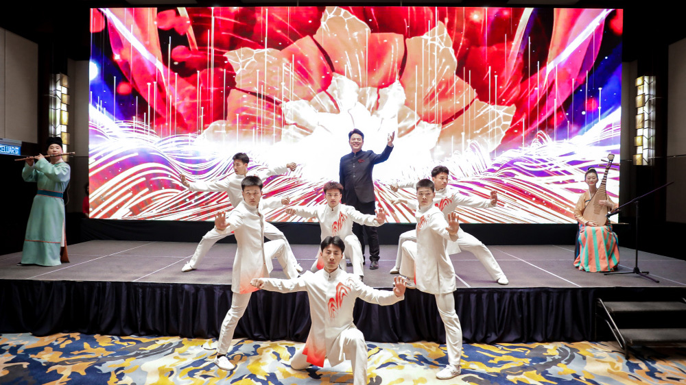 “行走河南·讀懂中國”文化旅游推介會現(xiàn)場表演.jpg