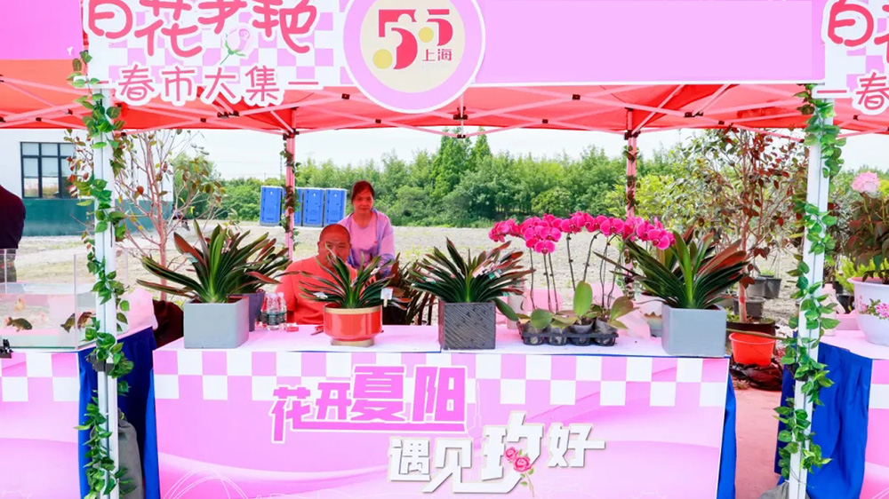 青浦區(qū)首屆夏陽玫瑰文化旅游節(jié)現(xiàn)場(chǎng)展.jpg