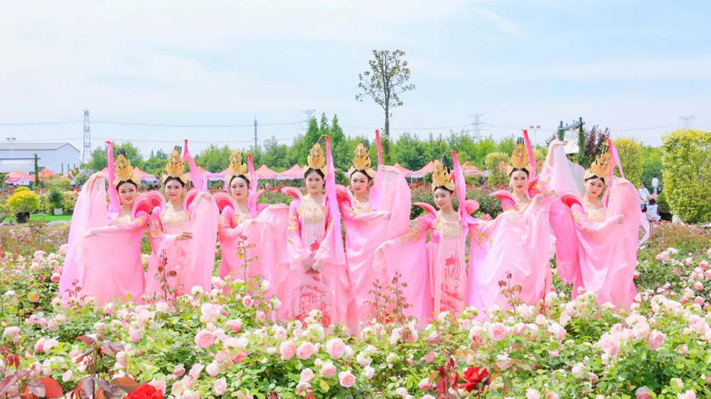 青浦區(qū)首屆夏陽玫瑰文化旅游節(jié)現(xiàn)場(chǎng)活動(dòng).jpg