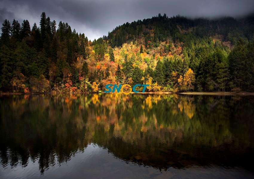 景區(qū)建設(shè)發(fā)展的關(guān)鍵是什么？四個方面是重點！